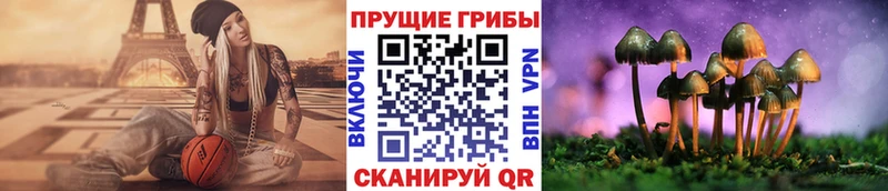 KRAKEN как зайти  Приморско-Ахтарск  Галлюциногенные грибы Psilocybe  где продают  